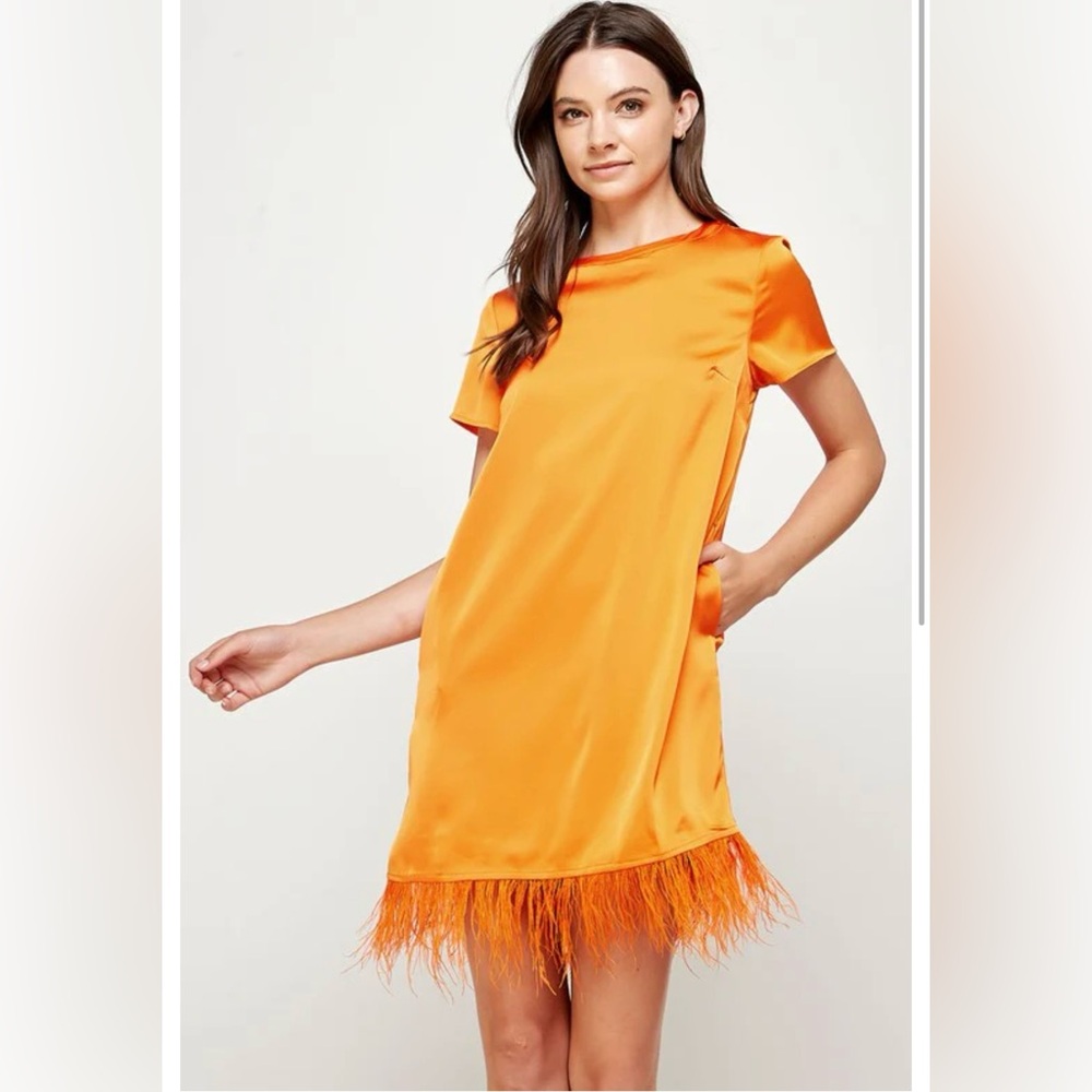 NWT Strut & Bolt Feather Trim Satin Dress